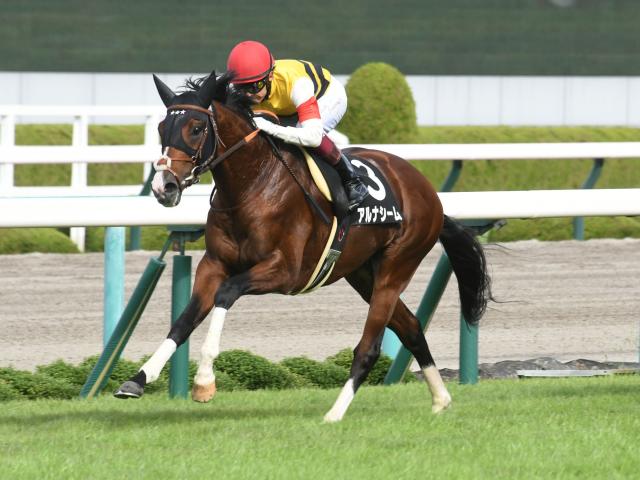 アルナシーム 10 8阪神9r 芝1600 瀬戸内海特別 3歳上2勝クラス 競馬ファンのこえ