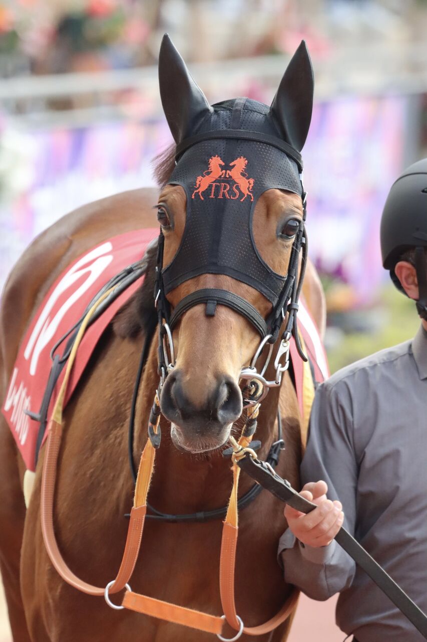 競馬ファンのこえ【ジャックドール】3/13 中京11R 芝2000　金鯱賞　G2コメントする