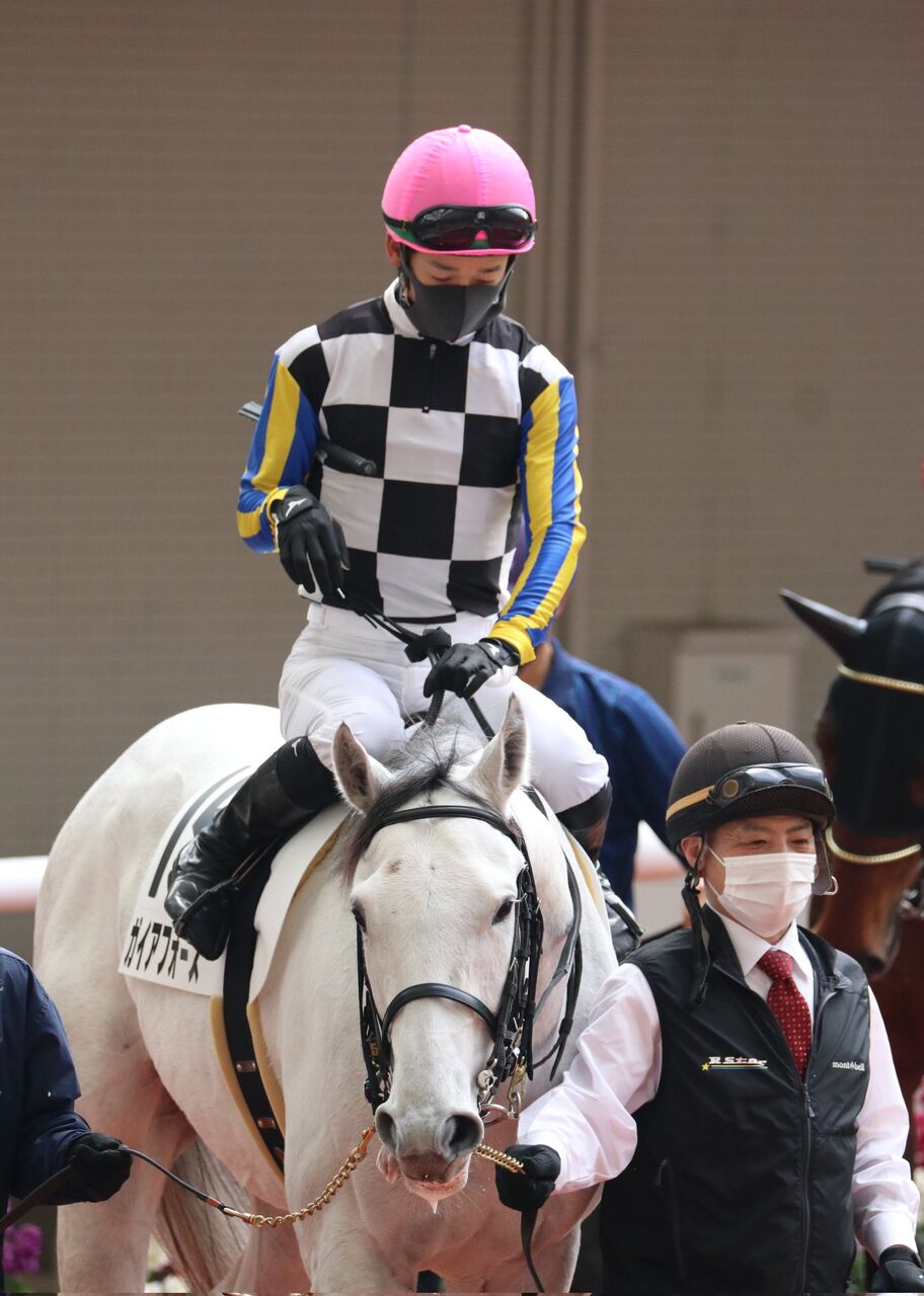 ガイアフォース 3 12阪神5r芝00 3歳未勝利 競馬ファンのこえ