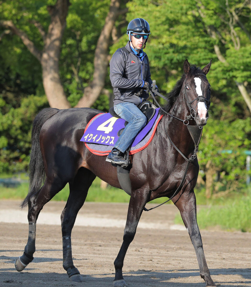 イクイノックス 競馬 ジャンパー ブルゾン ジャージ