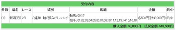 競馬c