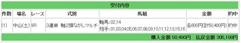 競馬30