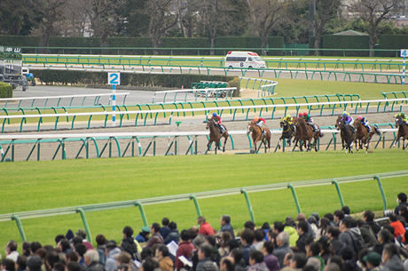 ハマった時は圧勝するが接戦になると脆い馬