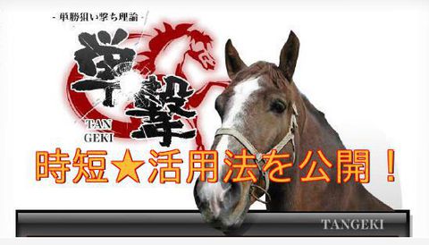 単撃TANGEKI・競馬商材特典