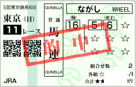 1117東京11r決め馬連加重