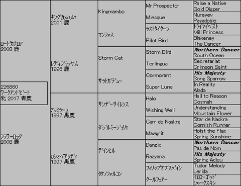 ﾜｰｸｱﾝﾄﾞﾋﾞｰﾄ５代血統表