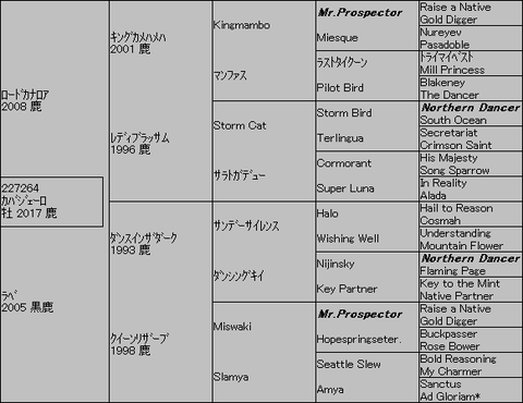 ｶﾊﾞｼﾞｪｰﾛ５代血統表