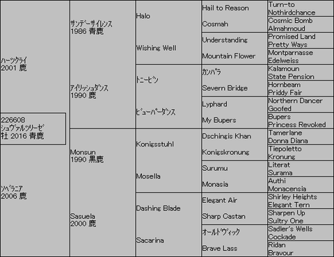 シュヴァルツリーゼ5代血統表