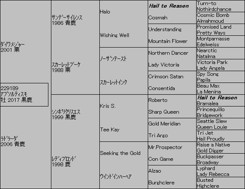 ｱﾌﾞｿﾙﾃｨｽﾓ５代血統表