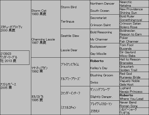 ワンダーリーデル5代血統表