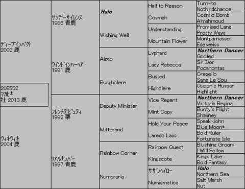 マカヒキ5代血統表