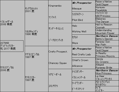 ｸﾞｯﾄﾞﾗｯｸｽﾀｰ５代血統表