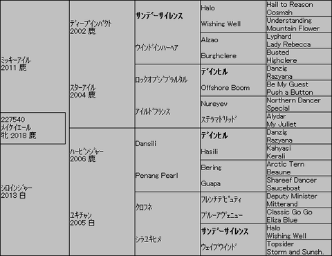 メイケイエール