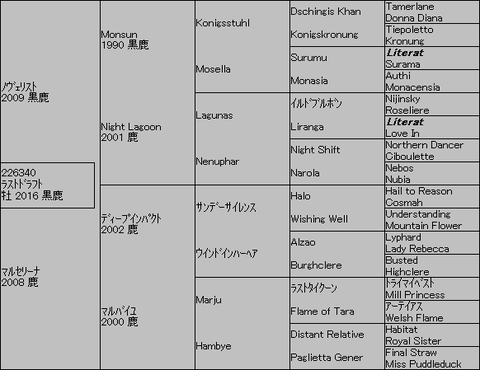 ﾗｽﾄﾄﾞﾗﾌﾄ５代血統表