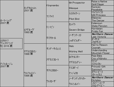 ヴァンケドミンゴ5代血統表
