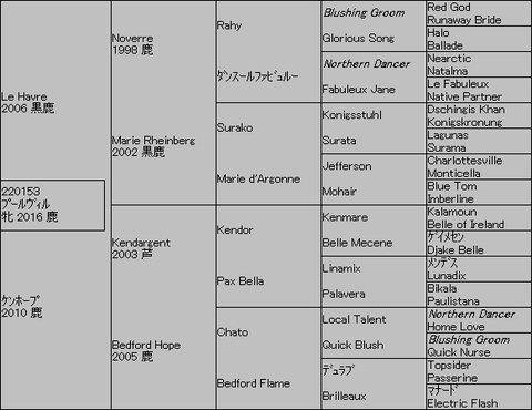 プールヴィル5代血統表