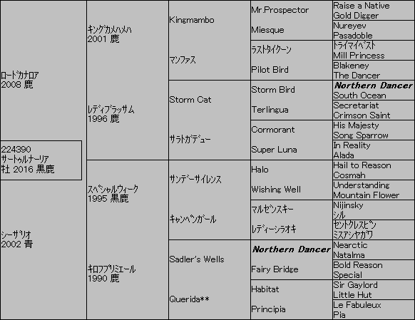 19皐月賞有力馬５代血統表 12頭 競馬通信社ブログ