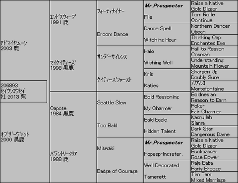 セイウンコウセイ5代血統表