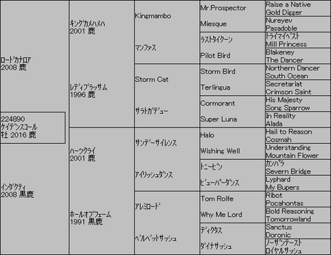 ｹｲﾃﾞﾝｽｺｰﾙ５代血統表