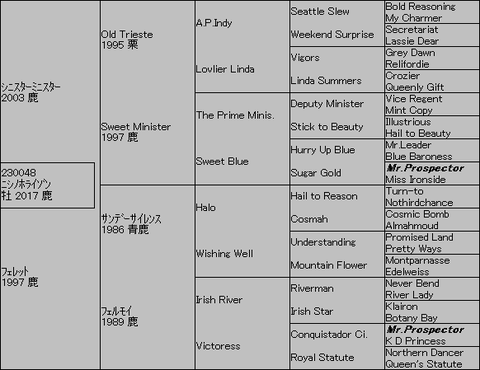 ニシノホライゾン5代血統表