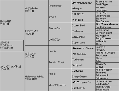 ダノンスマッシュ5代血統表