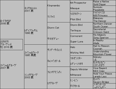 グルーヴィット5代血統表