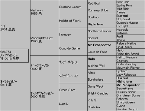 ステラヴェローチェ