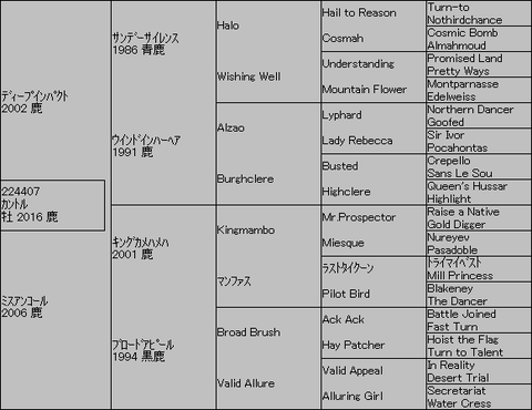 カントル5代血統表