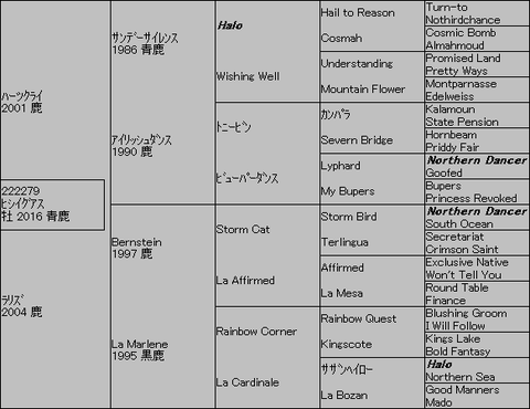 ﾋｼｲｸﾞｱｽ５代血統表