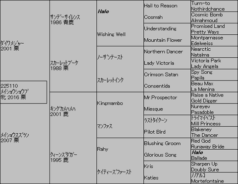 メイショウショウブ5代血統表