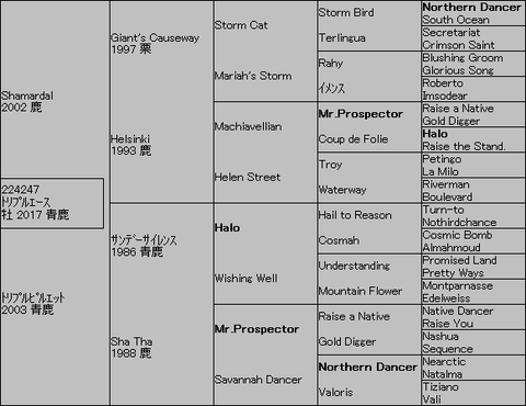 トリプルエース5代血統表