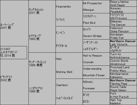 ﾑｲﾄｵﾌﾞﾘｶﾞｰﾄﾞ５代血統表