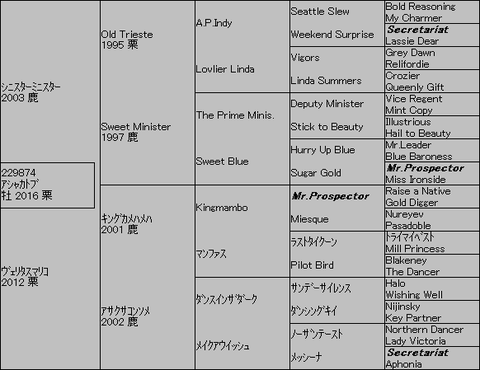 アシャカトブ5代血統表