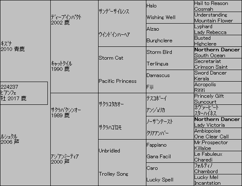 ビアンフェ5代血統表