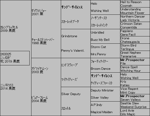 ニシノロゼ５代血統表