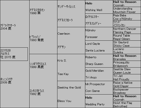 アルクトス5代血統表