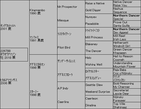 ﾎｳｵｳｱﾏｿﾞﾝ５代血統表