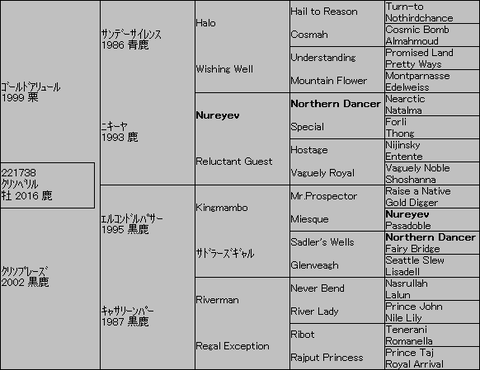 ｸﾘｿﾍﾞﾘﾙ５代血統表