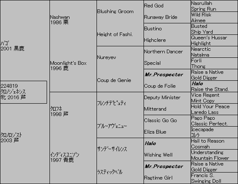 ｸﾛﾉｼﾞｪﾈｼｽ５代血統表