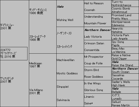 アドマイヤマーズ5代血統表