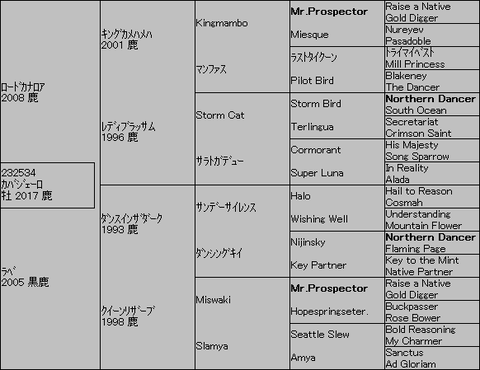 カバジェーロ5代血統表