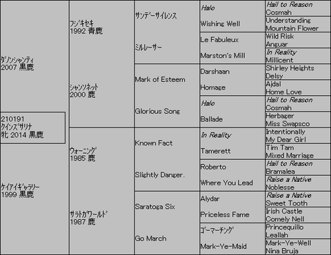 ｸｲﾝｽﾞｻﾘﾅ５代血統表