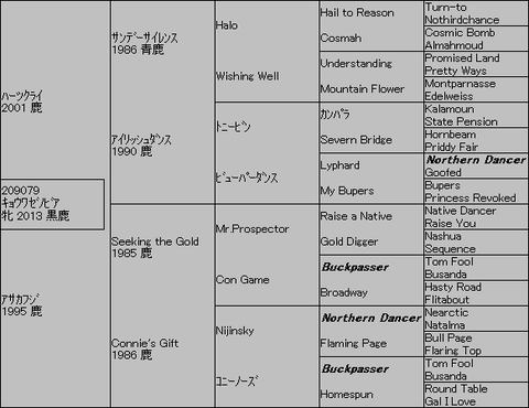 キョウワゼノビア5代血統表