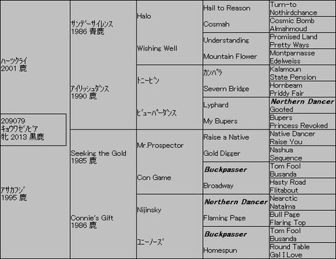 ｷｮｳﾜｾﾞﾉﾋﾞｱ５代血統表