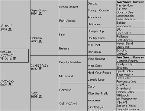デアフルーグ5代血統表
