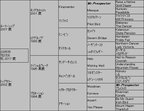 ｸﾛｽｾﾙ５代血統表