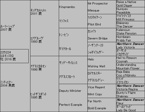 エルモンストロ5代血統表