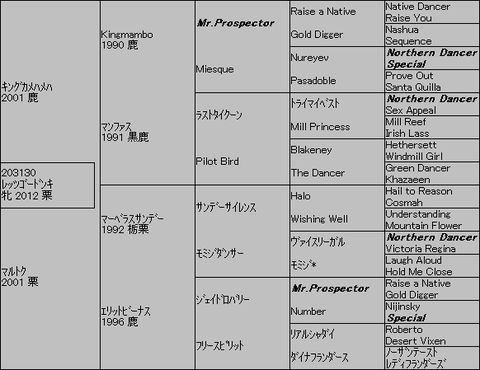 レッツゴードンキ5代血統表