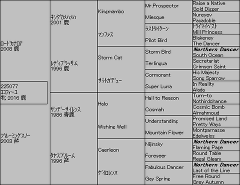 ココフィーユ5代血統表