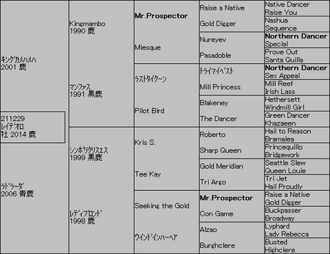 レイデオロ5代血統表